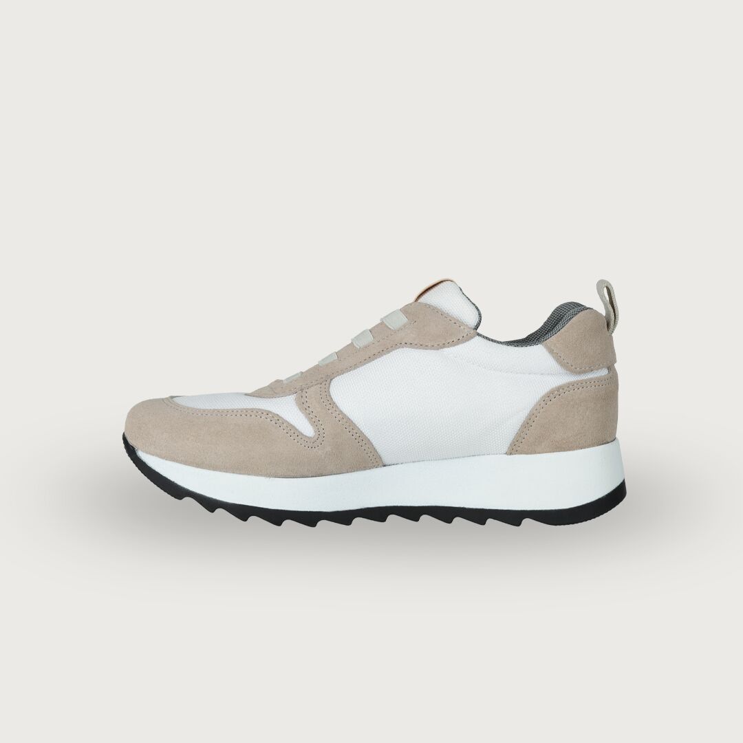 Painos Elastic Sand - Imagen 1